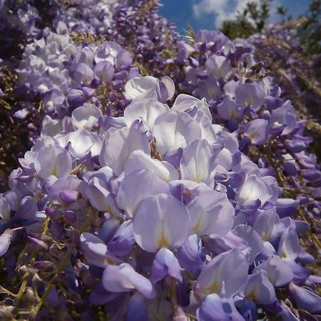 Готель Manoir De L'Esperance Corsept Екстер'єр фото
